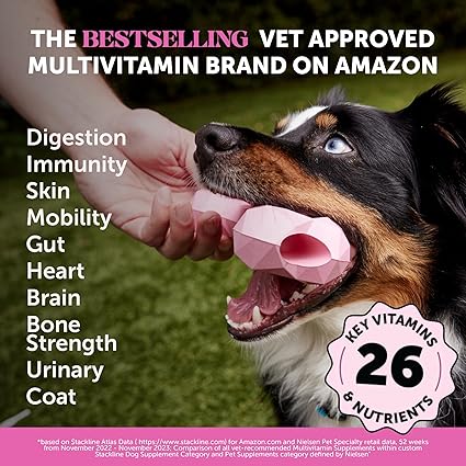 Multivitamin Dog Supplement