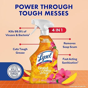 Lyso Cleaner Spray,